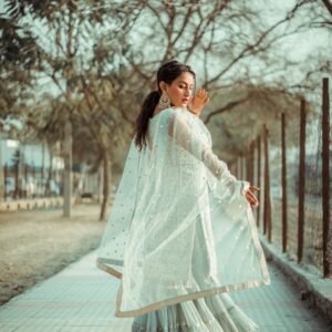 Kalamkari Hand-Painted Pure Silk Dupatta